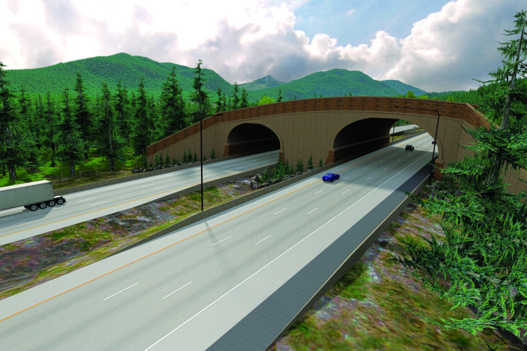 Ambitious Wildlife Overcrossing Completed in Washington State
